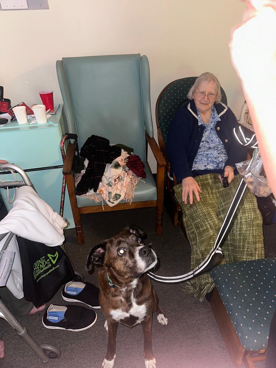 Awesome Paws Rescue came to Orchard Brook last night to visit our residents. What an enjoyable evening we had! 🐶

#orchardbrookeassistedlivingcenter #livinglegendshealth #nursinghomes #animals