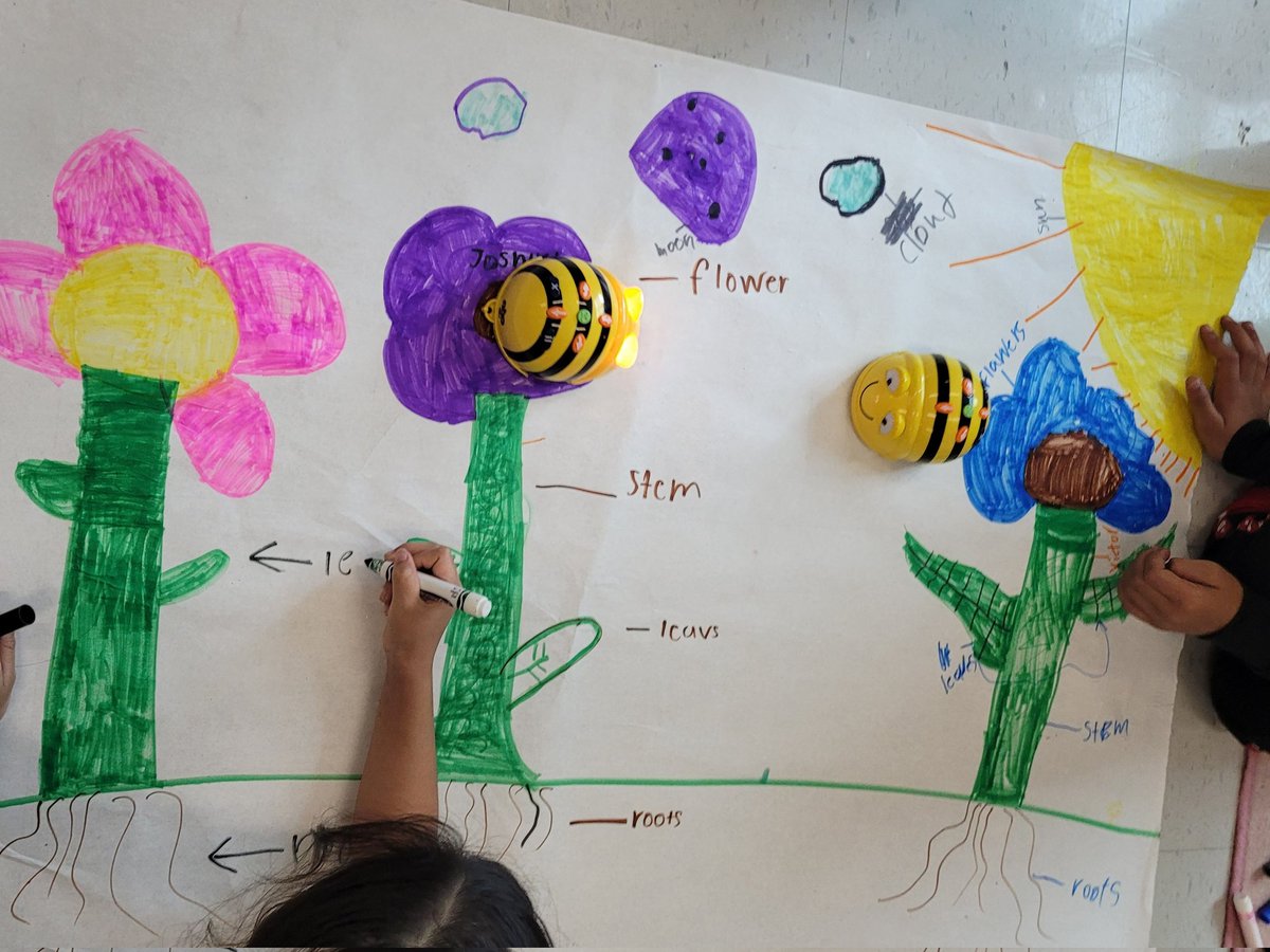TwistedinTech's tweet image. April showers bring May flowers! Or is it April AnD May showers?
It's been raining every day this week in Greenville, SC. ⛈️⛈️⛈️
2nd graders learned about parts of a flower, pollination, and coding with @BeebotCo @BereaElementary #integratingcodingandstandards
