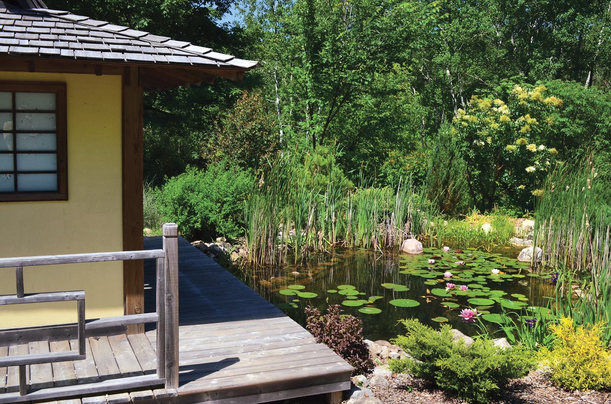 Water, soil, plants and animals live together in a harmonious balance in a natural pond. No one needs to scoop out algae. The water doesn’t need pumps and filters to stay clean and oxygenated, and required maintenance is minimal. motherearthnews.com/diy/backyard-p…