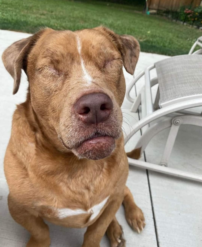 I’m new here, but I’m blind 
Do you still like me  ? 🙏🙄