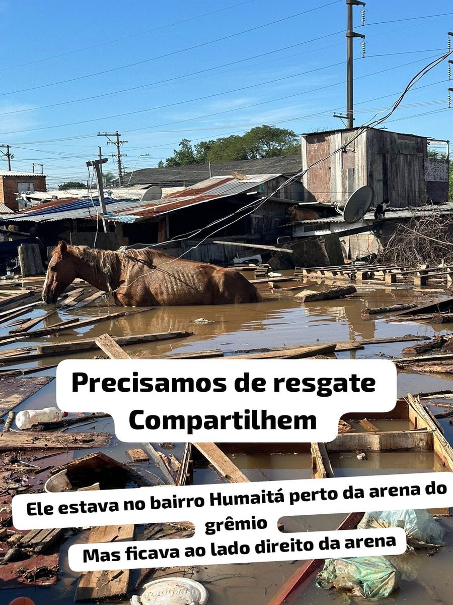 itimaliasof's tweet image. 🚨 URGENTE:

quem puder compartilhar pra mais pessoas para que alguma equipe possa ajudar a resgatar eu agradeço 🙏🏻