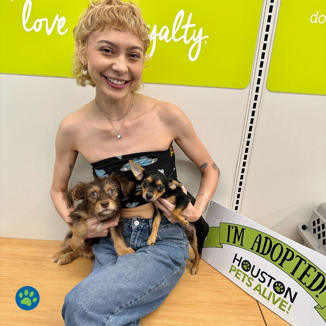 🌟 Thankful Thursday! 🐾 Huge thanks to everyone who adopted at our Dog Adoption Event! We can't wait to see your pups grow and hear your stories. Join our adopters group on Facebook! Next event: May 18, 10am-1pm at HPA! Apply to adopt in advance. 🐶💕 #houstonpetsalive! #HPA!