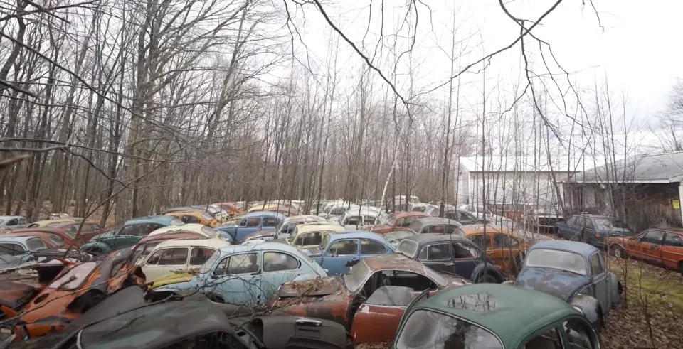Happy Thursday Volks!  Another on one of those Graveyards shows up!  'Rare Volkswagen car graveyard found in the woods with dozens of Beetles'  Read On!  the-sun.com/motors/1128283… 

#VW #vwbug #vwbeetle #vwgraveyard #oldvw #classicvw #rustyvw