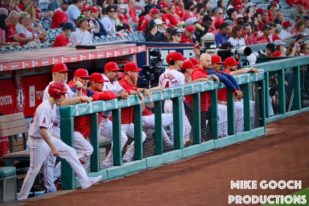 The Dugout by #MikeGoochProductions #photography #photo #nycphotographer #FollowThisPhotoGuy #PhotographyIsArt #streetphotography #streetphotographer #baseball #MLB @MLB #Anaheim #LosAngeles #Angels #AngelStadium @Angels #sportsphotography