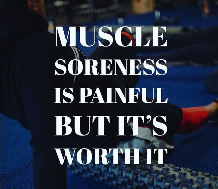 When your muscles are sore it means you've worked hard. You have to earn to right to gain progress from your body. So when you're in pain you know you're on the right track.. #Motivation #Gym #Muscle #NoPain #Progress #DontQuit #Workout