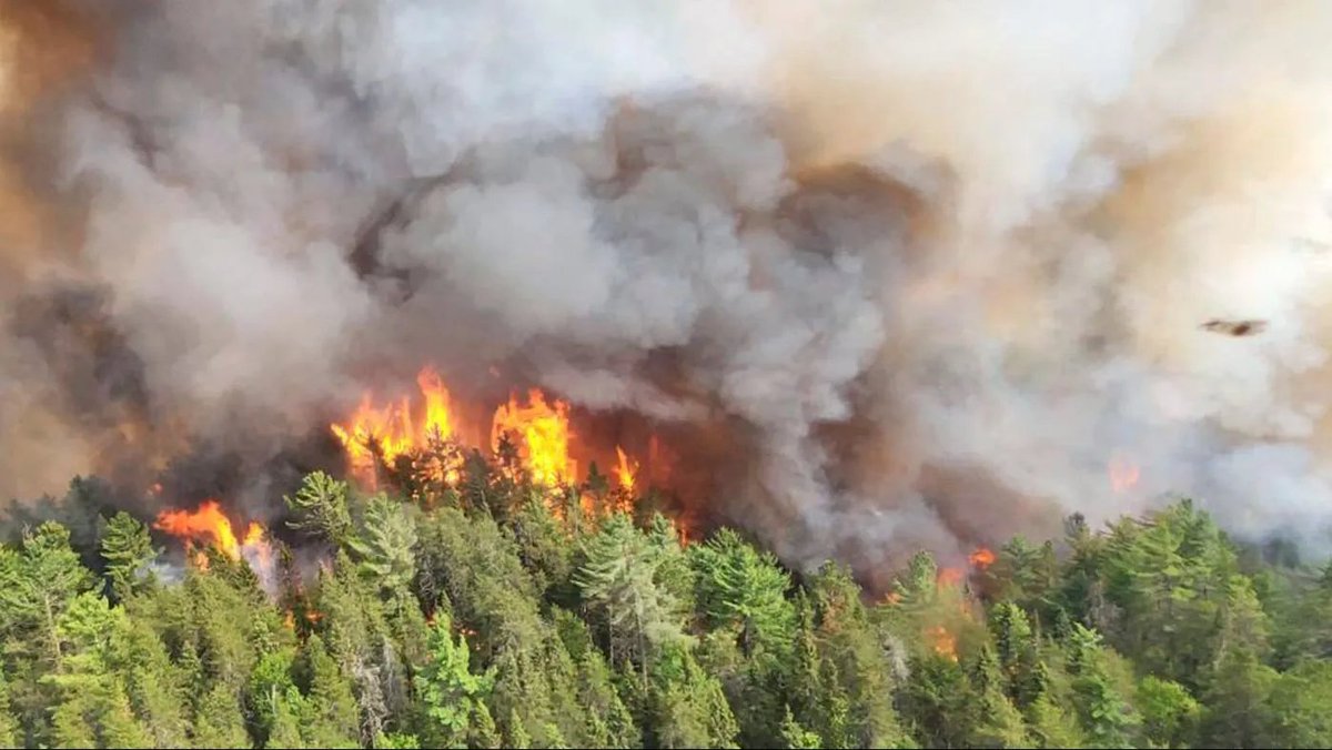 Canadian Interagency Forest Fire Centre data reported 18.5 million hectares burned in 10 provinces and two territories in 2023.