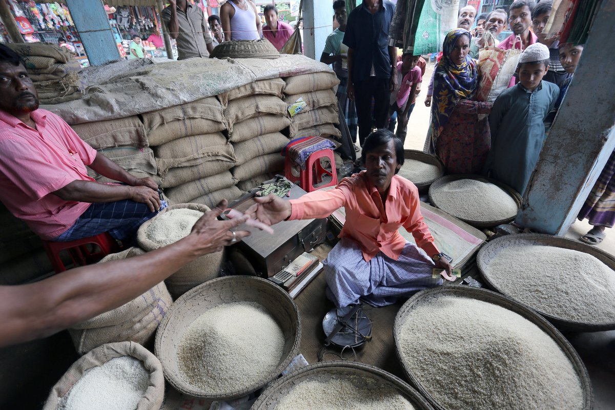 IFPRI research shows that processing renders miniket #rice significantly less nutritious than other common rice types in Bangladesh. These issues led the government to ban the sale of miniket in 2023. Learn more: ow.ly/JJqH50RuaOK #CGIAR @IFPRIBangladesh