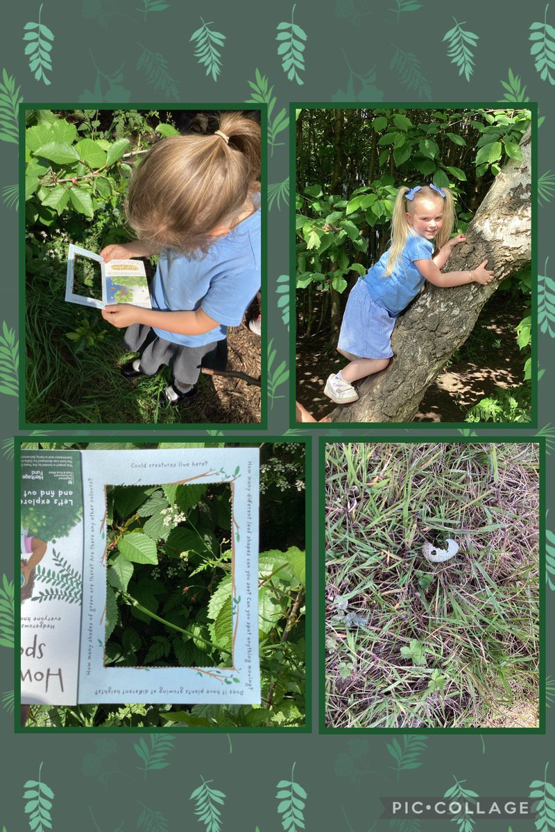 A busy day in the great outdoors. Y5 were detectives in their murder mys-tree workshop with Elena from @TheTreeCouncil and F2 have been exploring our hedgerows for national hedgerow week using our viewfinder booklets #NationalHedgerowWeek #ForceforNature