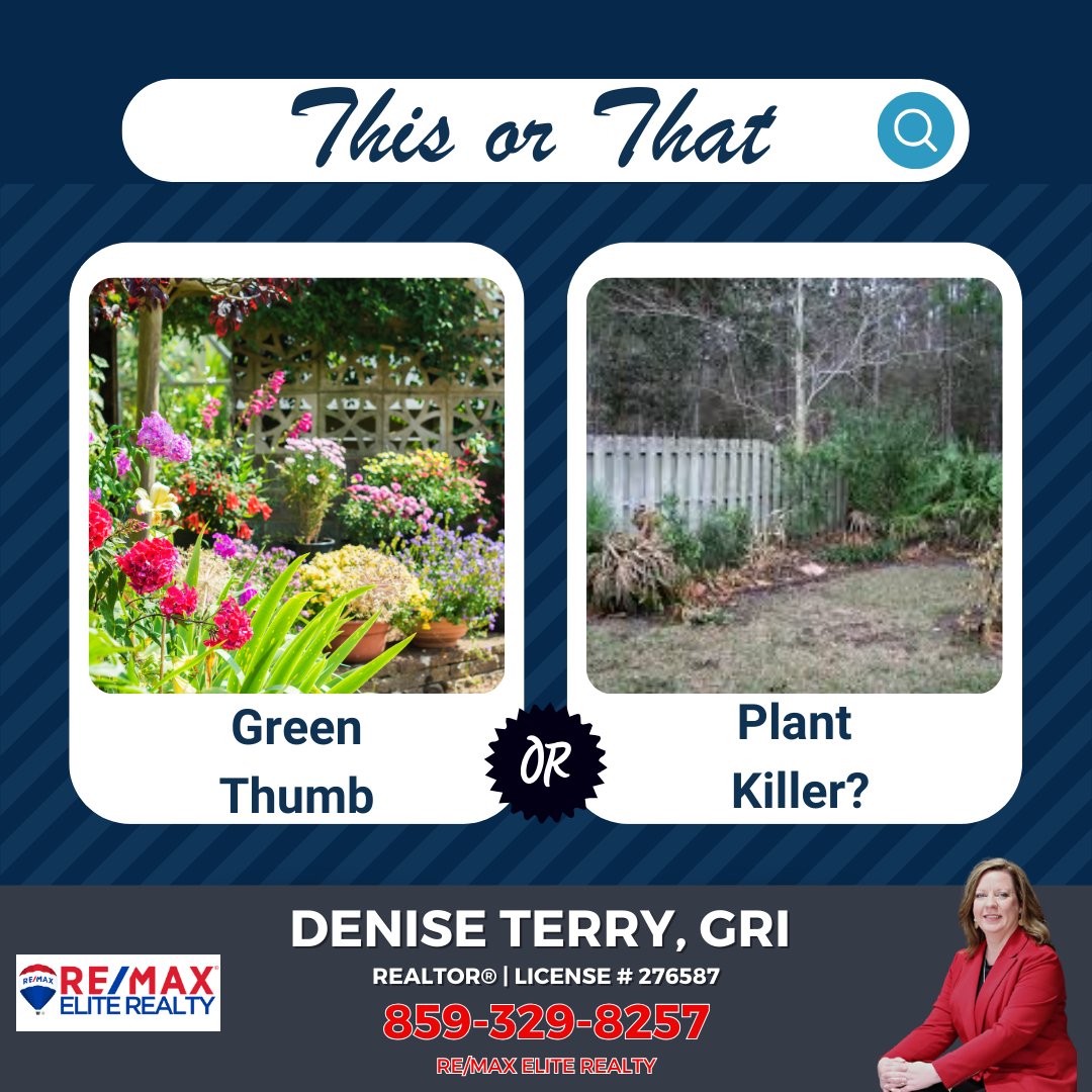 Denise Terry, GRI | REALTOR®, BROKER (@deniseterry94) on Twitter photo Green thumb or plantkiller? Let's settle this once and for all! Let's see who reigns supreme in the garden kingdom!
#RealEstate #NoHiddenFees #HiddenFREES #REMax #REMaxEliteRealty #ThisOrThat #Bluegrassrealtors #playingtowin <a href="/vaughtsviews/">Vaughts' Views</a> Green thumb or plantkiller? Let's settle this once and for all! Let's see who reigns supreme in the garden kingdom!
#RealEstate #NoHiddenFees #HiddenFREES #REMax #REMaxEliteRealty #ThisOrThat #Bluegrassrealtors #playingtowin <a href="/vaughtsviews/">Vaughts' Views</a>