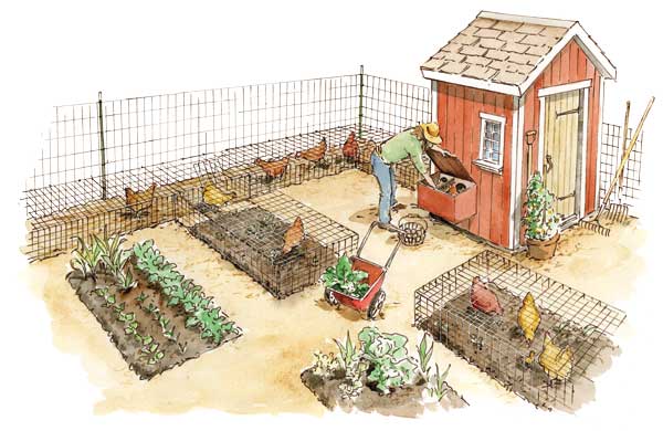 What are the benefits of raising chickens? In a word, poop! Learn how to put chicken manure as fertilizer to use in your garden. motherearthnews.com/homesteading-a…