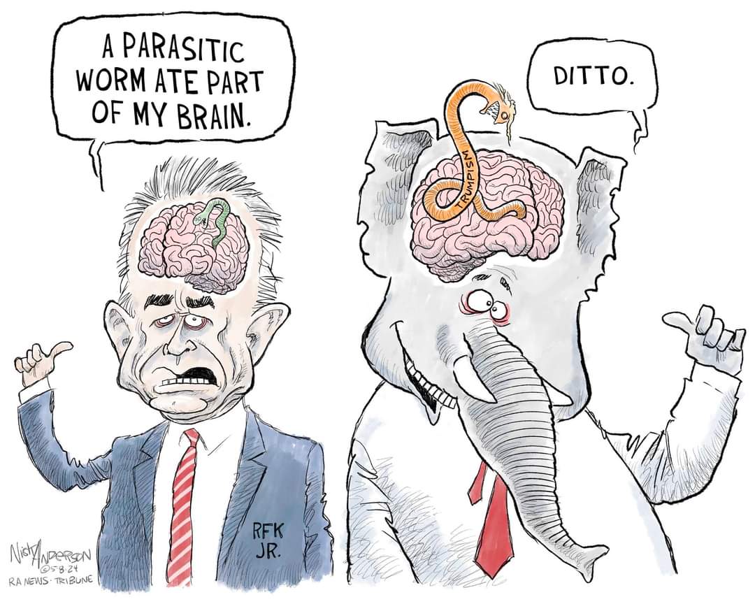 #RepublicansCantGovern #RFKJrbrainworm