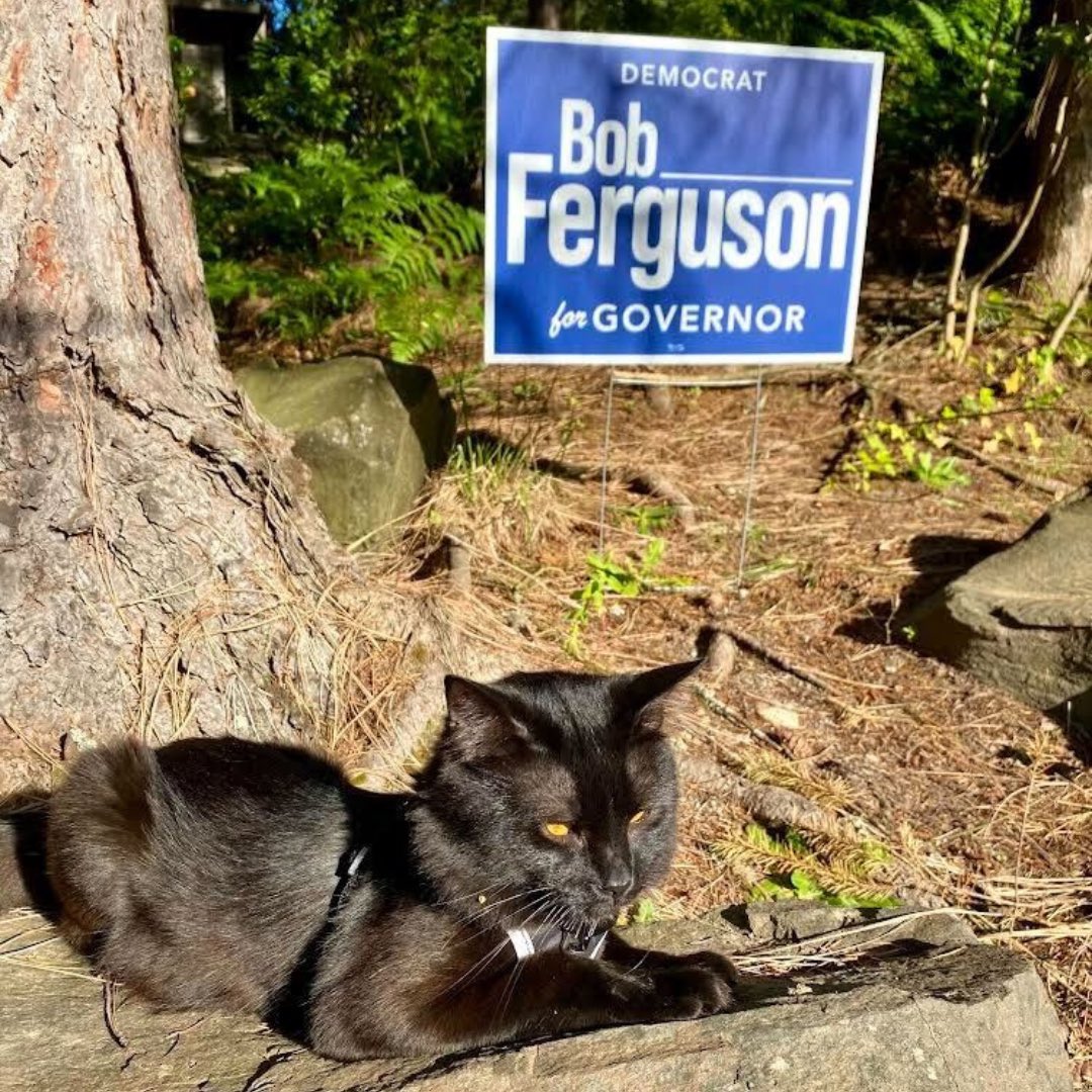 Appreciate Nedge’s help getting our yard signs out there! Want a yard sign or to help my team with distribution? Sign up in the Volunteer section at bobferguson.com, or email signs@bobferguson.com.