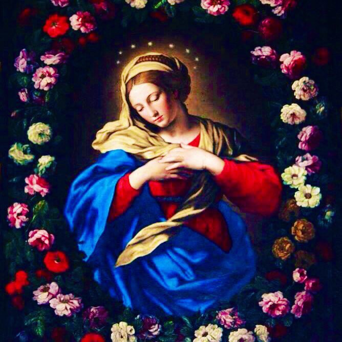 Day 9 of May devoted to our Blessed Mother 🩵