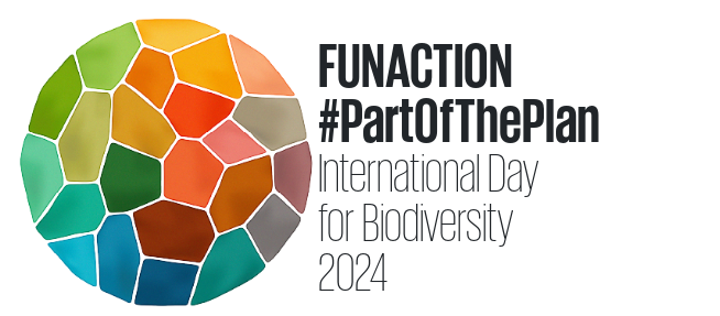 #FUNACTION is already #PartOfThePlan!

And to celebrate the #BiodiversityDay we are co-organising with @MoSTFun_EU @ProtectSpecies @IUCNAquaFungi the webinar: Aquatic Fungi Diversity.

22 May 2024 | 14:00 UTC
Register here: tinyurl.com/aquaticfungi

#aquaticfungi #conservation