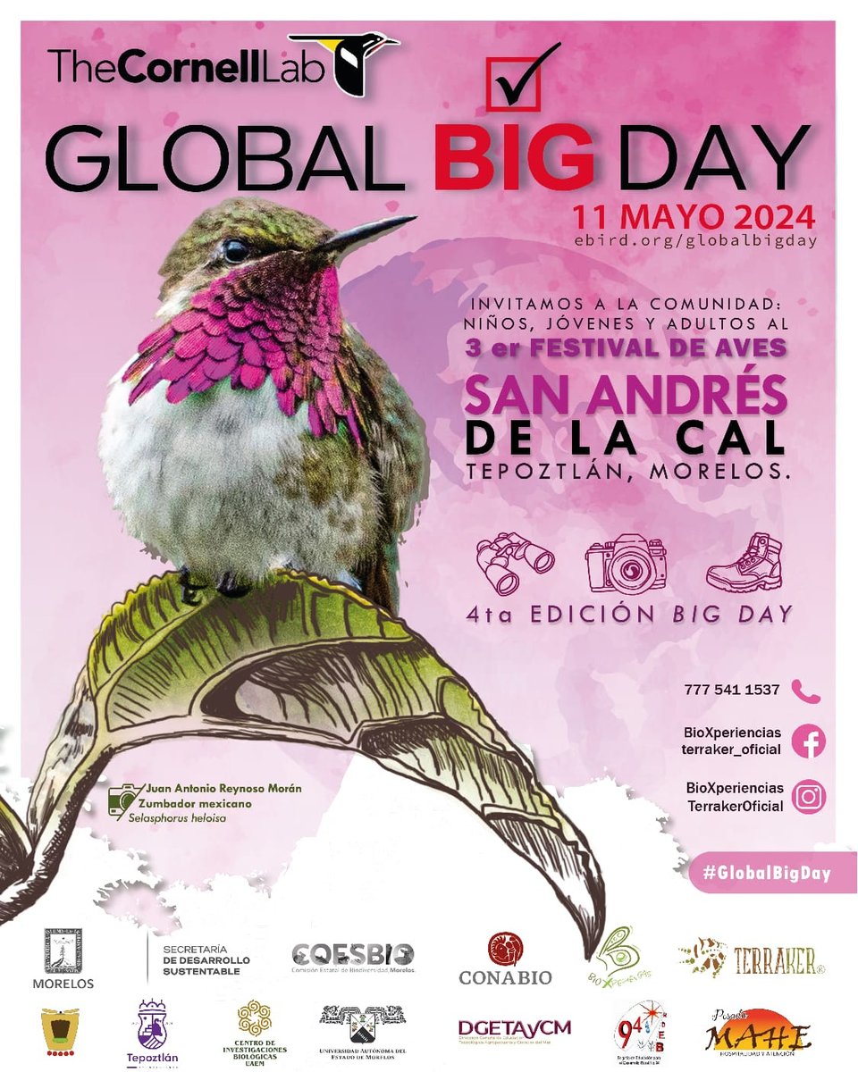 Centro de Investigaciones Biológicas #CIB | Tercer Festival de Aves en San Andrés de la Cal en Tepoztlán, Morelos | #SomosUAEM