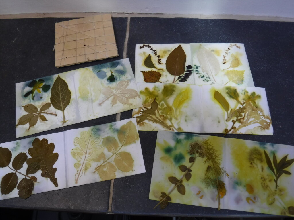 🌺Join us to discover the world of Botanical printing where images of leaves & flowers are made using the natural dyes within them. 📆6 July 🏵️A relaxed day suitable for complete beginners(16+) 🎫£80 | £65 Concession 💻Book your place today: tinyurl.com/4s33tce5
