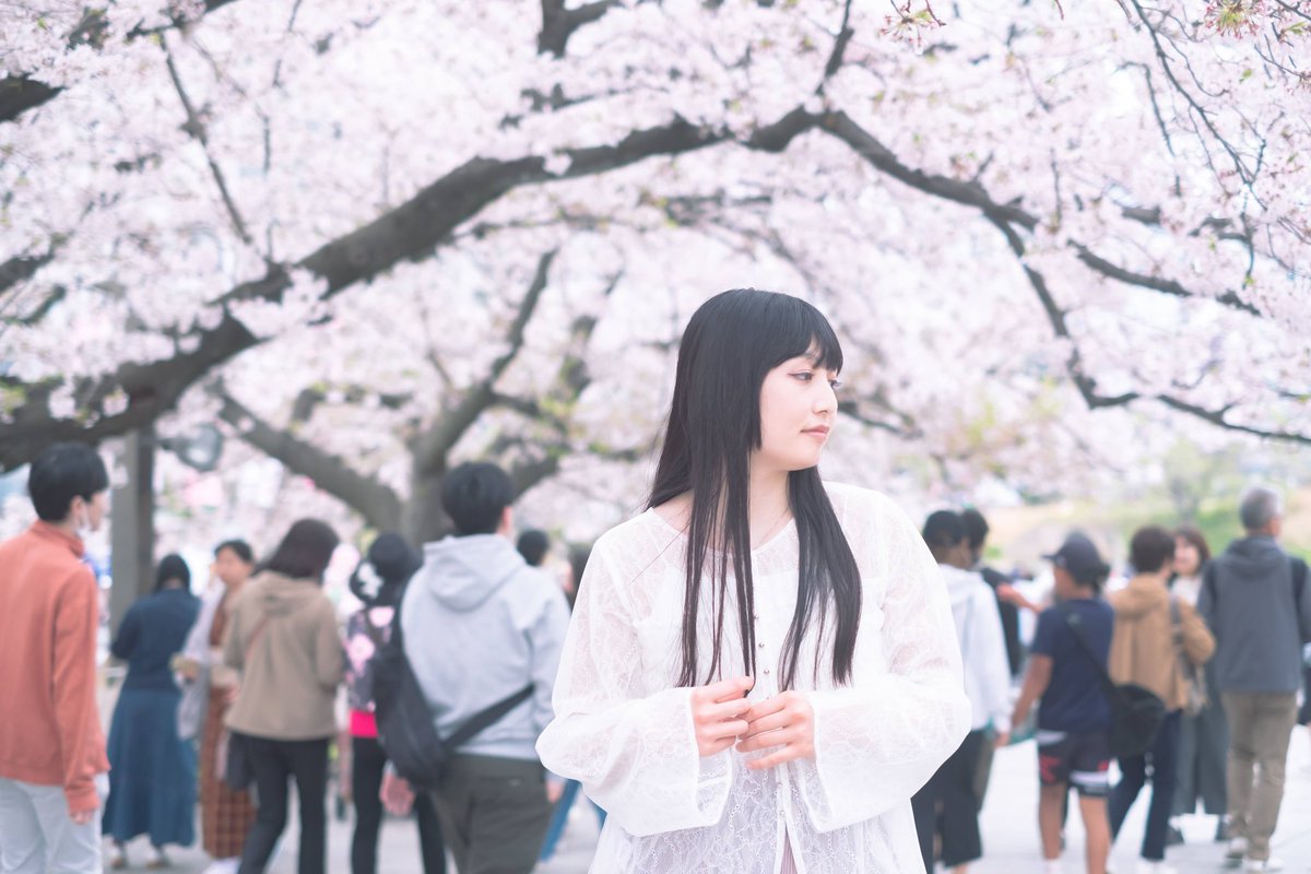 桜弥🌸 (@sakuya3980709) / Posts / X