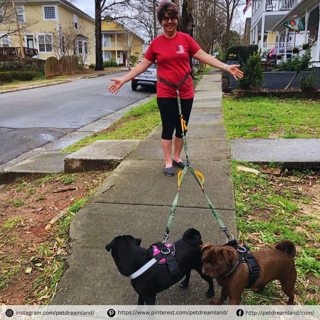 Have you tried to convince your favorite hooman to try out this hands-free leash? 🤣

#dogstagram #dogsdaily #dogwalking #dogadventures #dogleash #dogrunning #dogtraining #spring #petsupplies #pets #dogleash #petproducts #doglovers #petdreamland