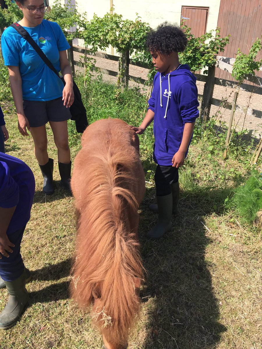 We had lots of fun with the animals today @Linehamfarm #residential #engage #celebrate #animals 🐑🐴🐐