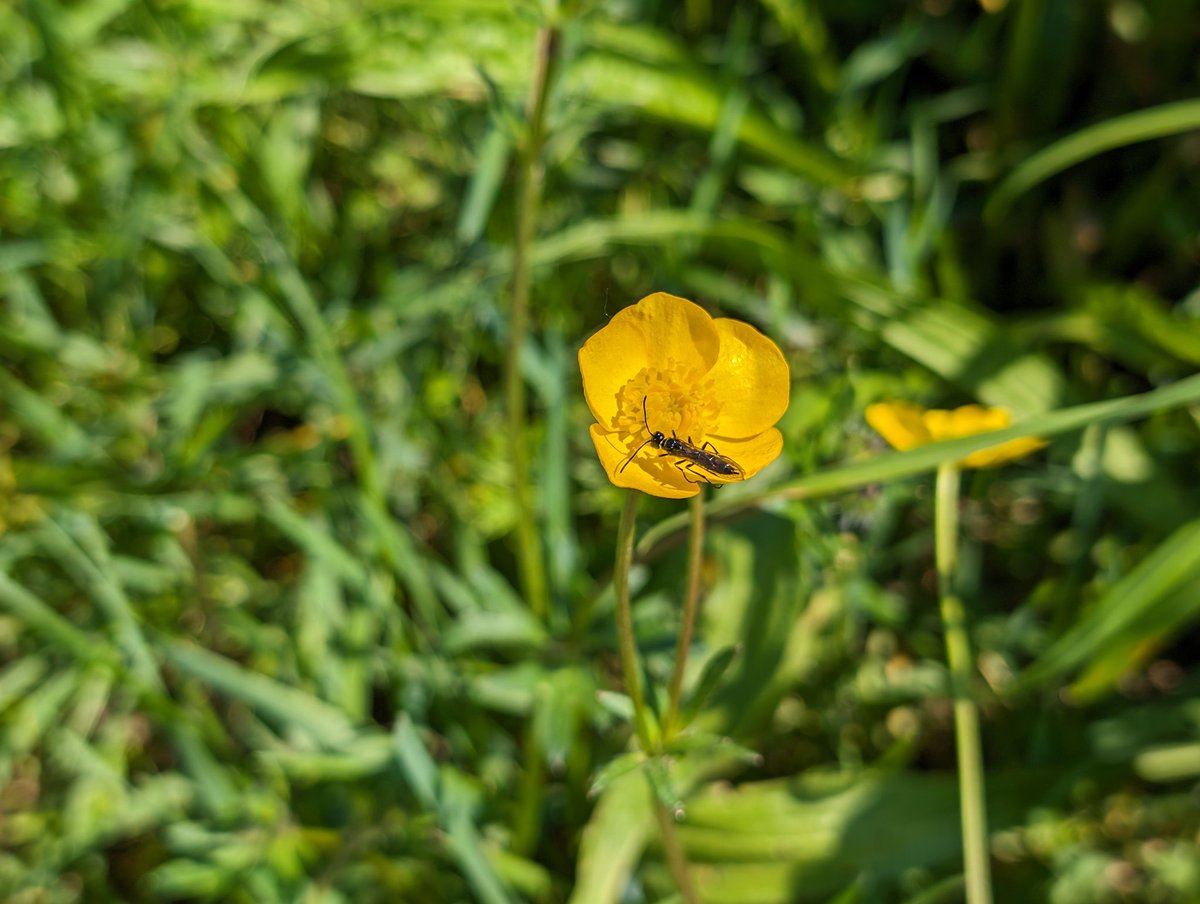 Frühling.