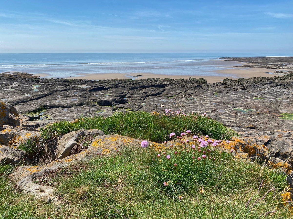 Such a beautiful day….☀️👌🏼

#Porthcawl #Wales 🏴󠁧󠁢󠁷󠁬󠁳󠁿