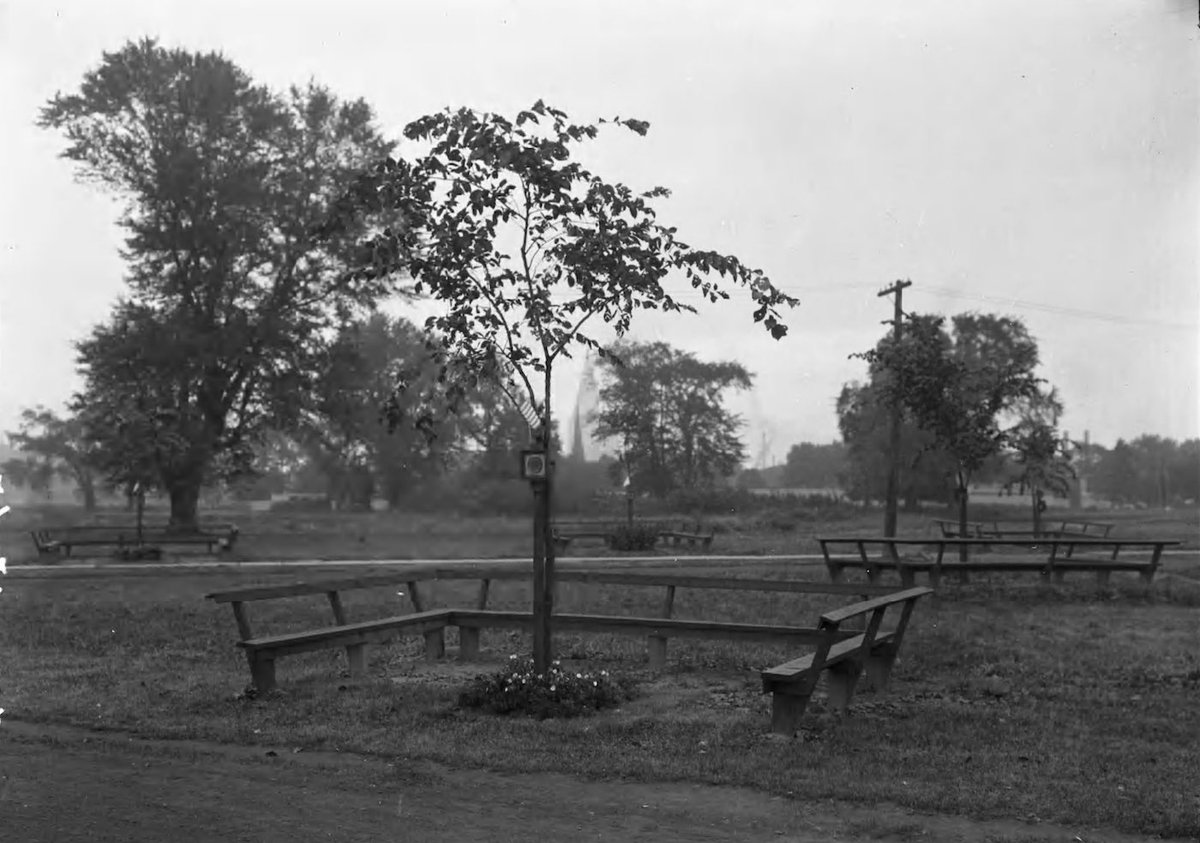 Colt Park Foundation tweet media