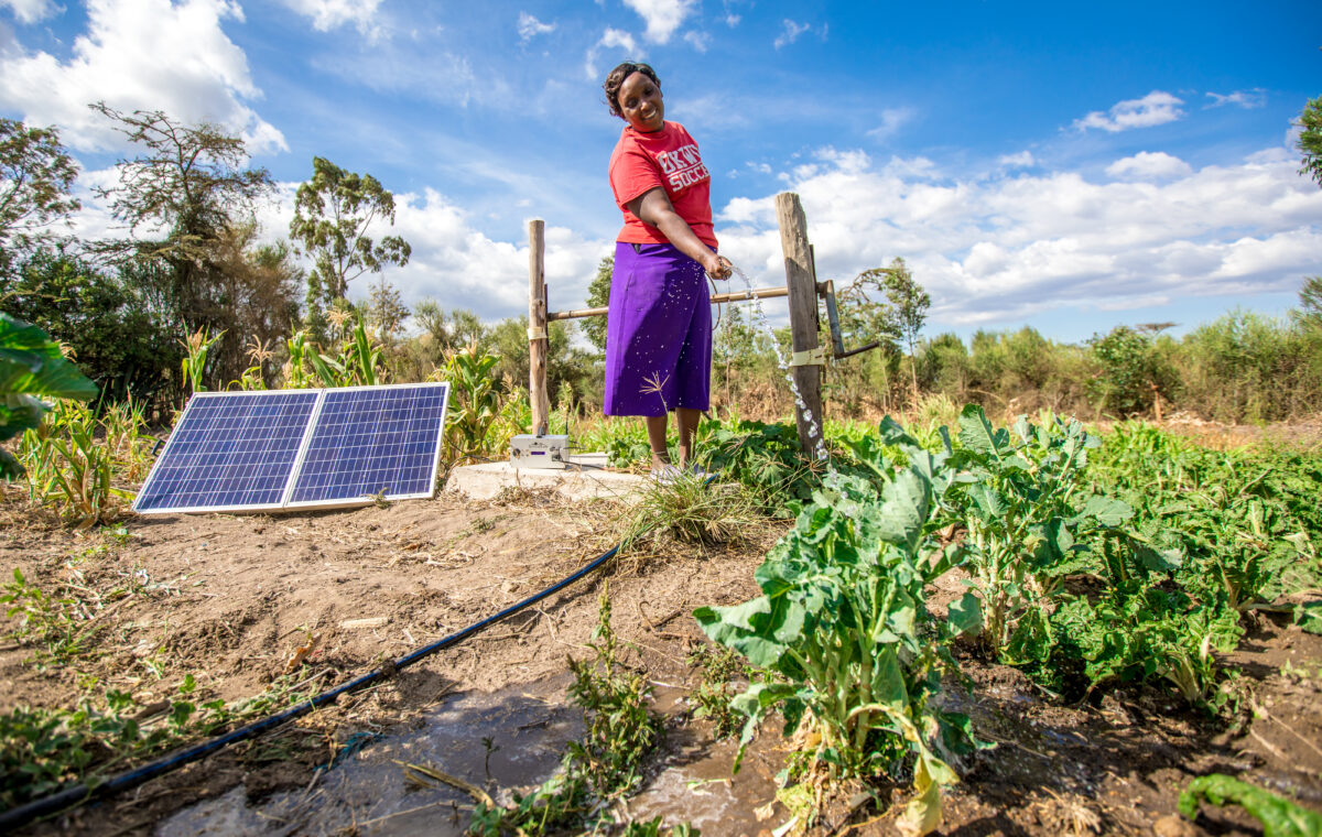 Payment plans key for solar water pumping in Sub-Saharan Africa: If solar-powered irrigation pumps can be rolled out in a responsible manner at scale, the impact on agriculture in sub-Saharan Africa… dlvr.it/T6f1tX #CommercialIndustrialPV #DistributedStorage #Finance