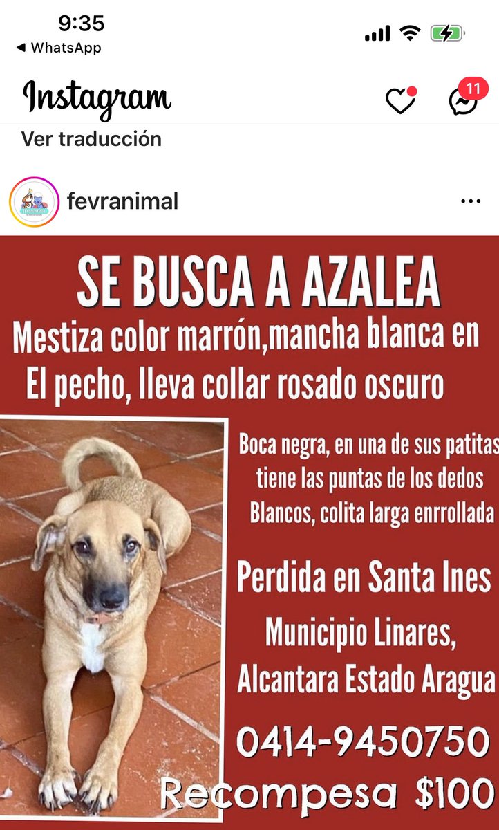 Rescata (@carmenzr04) on Twitter photo 