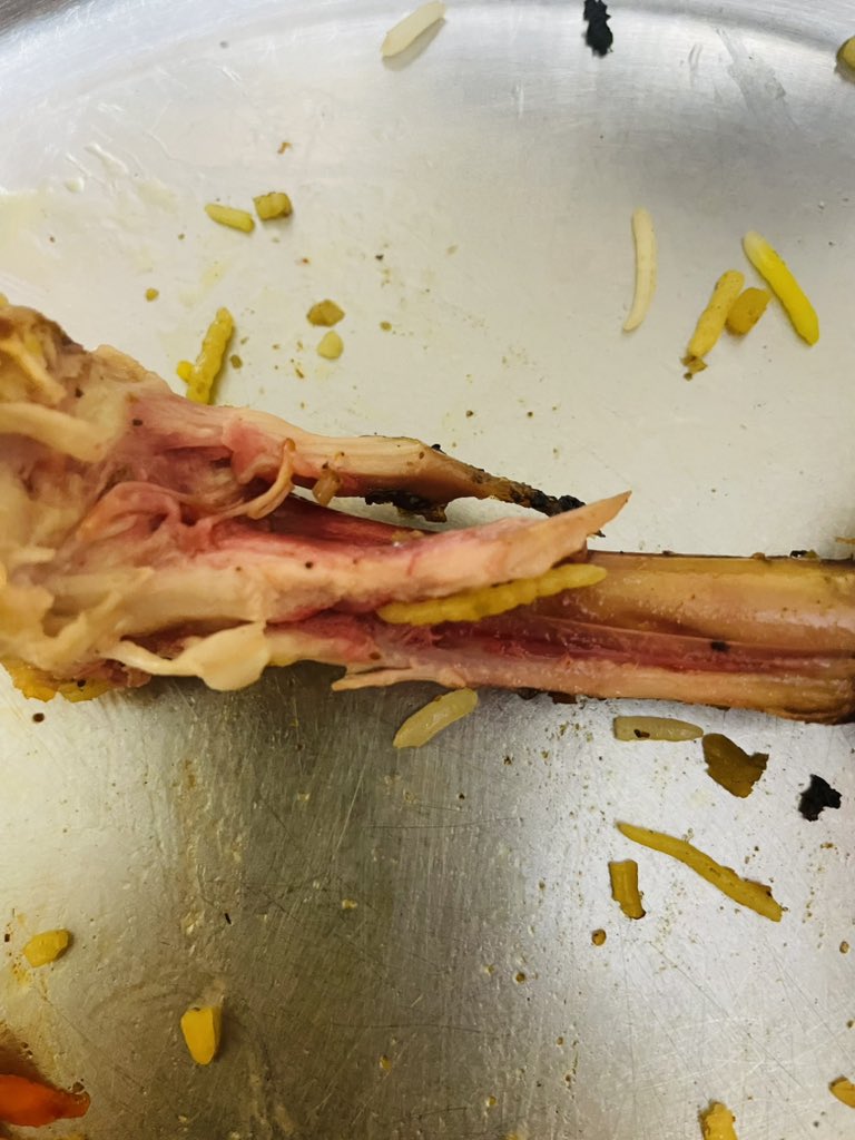 MilindPal10's tweet photo. On 1st may I ordered from zomato and I got the food with blood on it So they said they will refund back my 95rs back to account but they are such a fraud that they committed but not refunded my money back.@zomatocare @zomato @jagograhakjago @deepigoyal @aajtak @PMOIndia https://t.co/IpqjPi2gmx