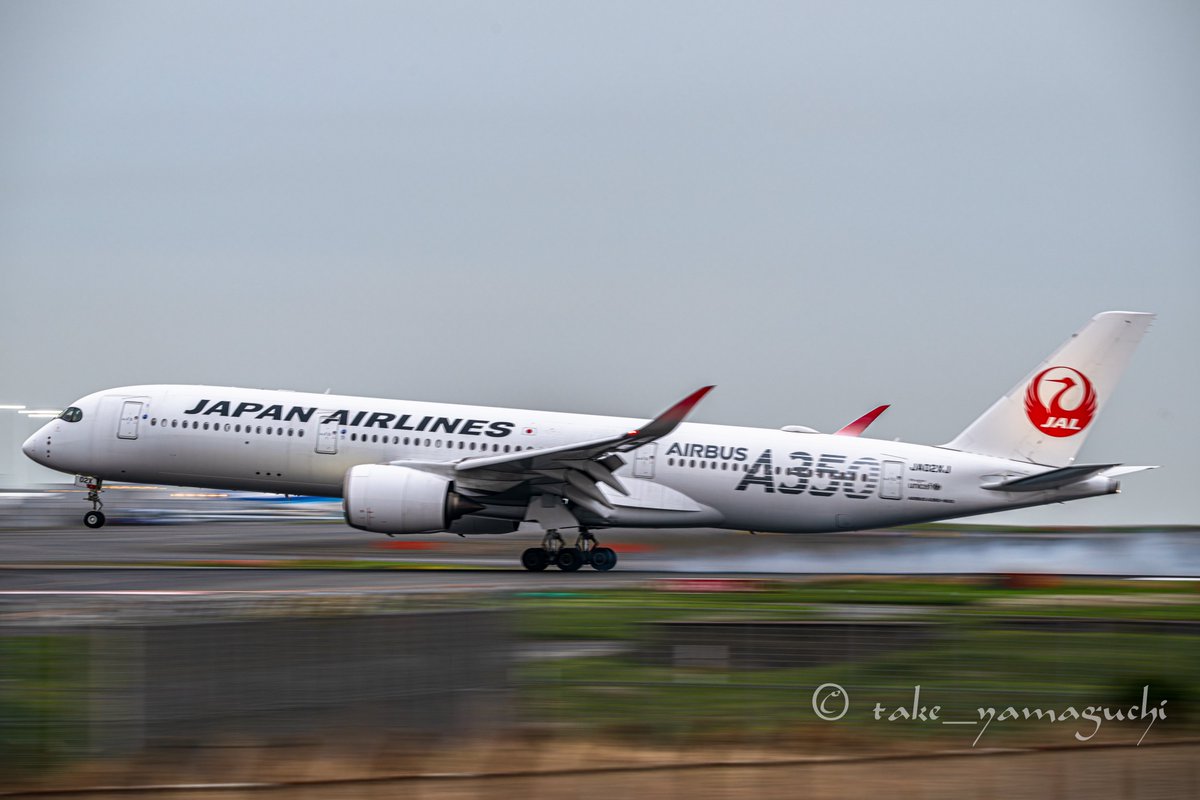 皆様おやすみなさいませ🌃 タヌキ２号さん✈️