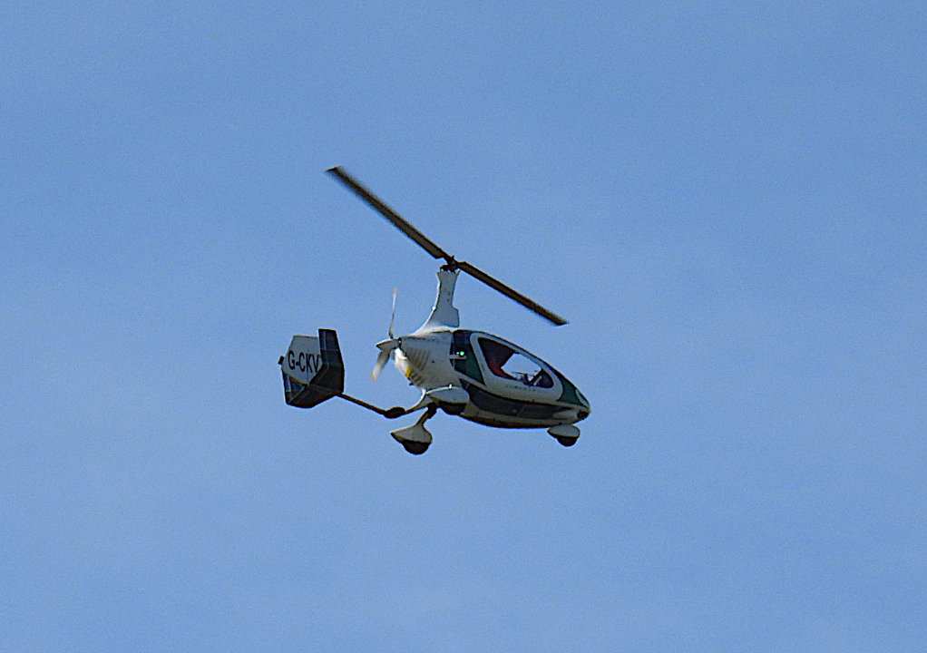 Ah saw this wee thing at Inverness Airport; almost swatted it fir a midge!