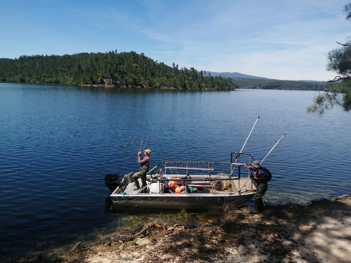 We are getting ready for an afternoon of e-fishing on our R/V Cumba! #lifepredator fish monitoring in large reservoirs in Portugal is on the way! @MAREscience @LIFEprogramme @IdlLuiz @CE3CResearch @cienciasulisboa