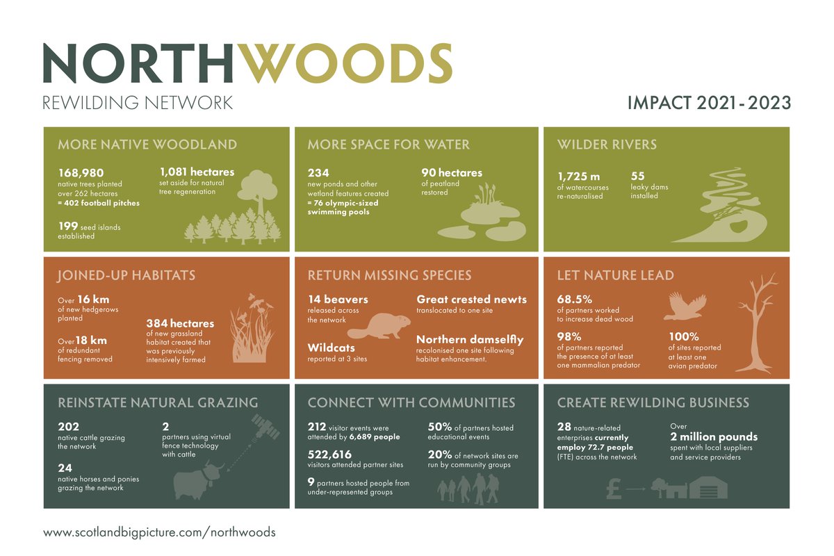 In just 3yrs our #Northwoods Rewilding Network has grown to 70+ land partners, all committed to restoring nature. Revitalizing habitats, reintroducing species, and supporting rural jobs, they're delivering for nature, climate and people. 🌿 Read more: bit.ly/NorthwoodsStory