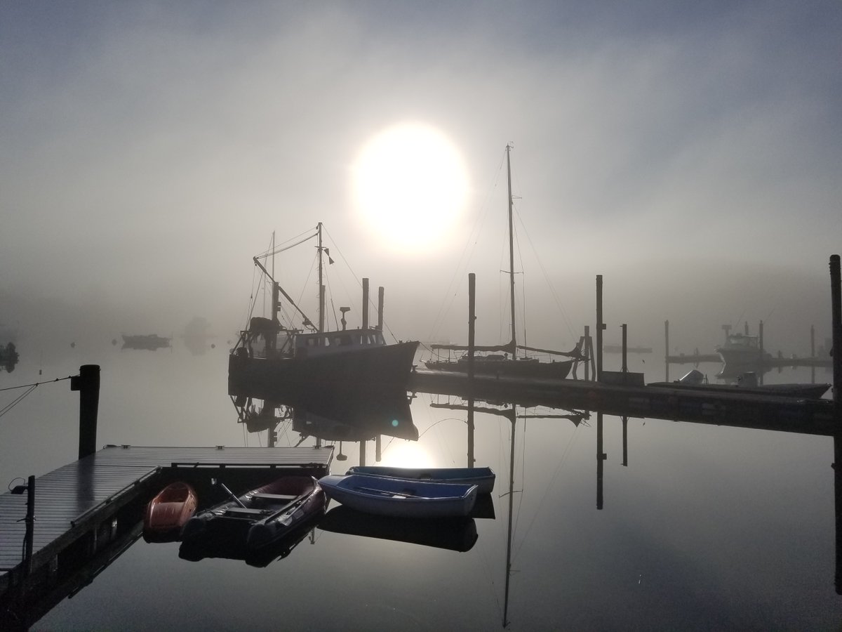 A beautiful shot of Eel Pond early this morning. Credit: Louie Kerr