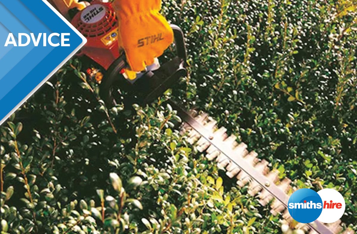 Like any other plant, your hedges require proper maintenance to look their best. And how do you do that? With a hedge trimmer of course. If you've never trimmed a hedge before, here's one blog to teach you how!

Read more: smithshire.com/how-to-trim-a-…

#hedge #garden #toolhire #blog