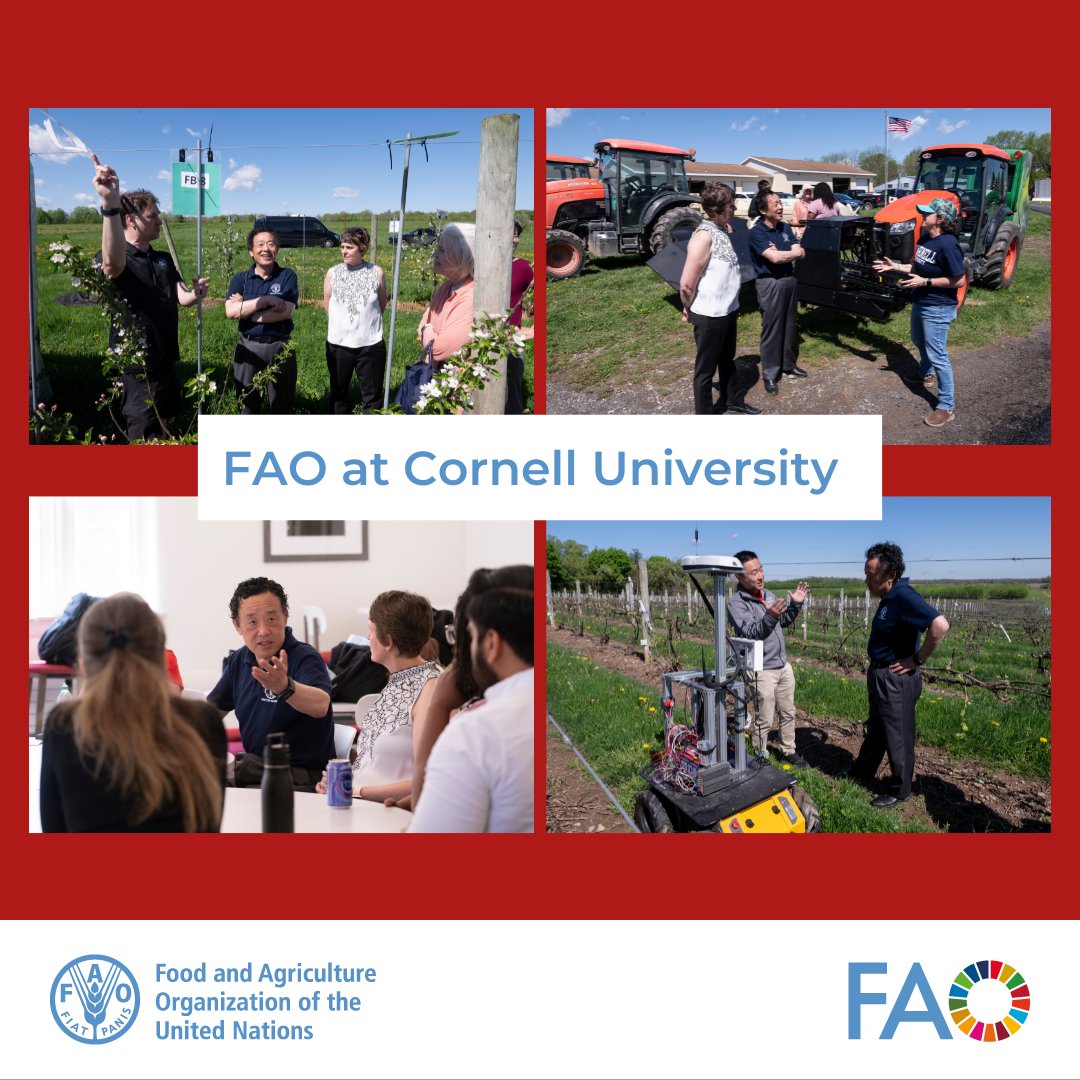 @FAODG @Cornell @CornellEEB @CornellCALS @CornellAnSci @FAO @FAOnews @FAO4Members @FAONorthAmerica @cornellcraftbev @CornellAgriTech @BenHoulton On his visit to @CornellAgriTech's campus in Geneva, @FAODG visited the labs and research farms where theory becomes practice. The fruitful tour covered a wide range of topics from horticulture and plant pathology to crop sustainability, pest management, #AI and #AgInnovation.