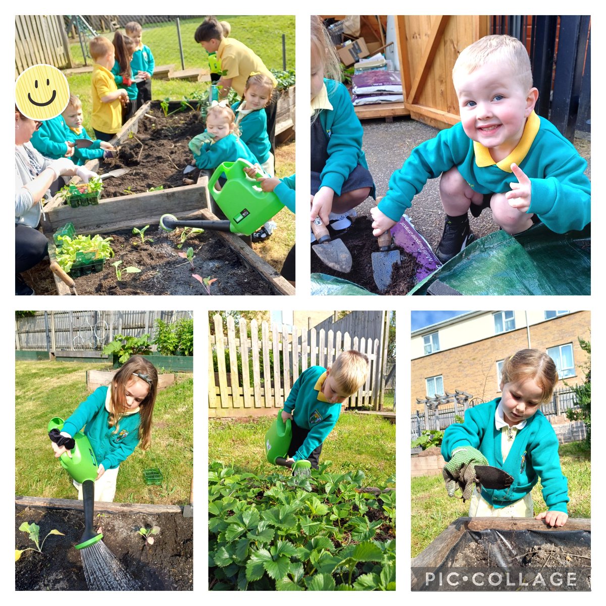 Plannu llysiau yn yr ardd 🥒🍅
Planting vegetables in the garden 🥬🥔