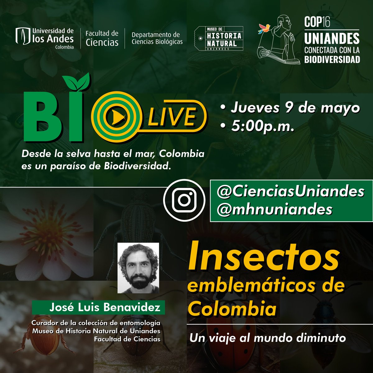 #Imperdible🌿En el marco de la @COP16Colombia, hemos diseñado una serie de Lives donde exploramos la biodiversidad de 🇨🇴 a través de las colecciones biológicas del Museo de Historia Natural de @Uniandes. 👉Transmisión en vivo desde Instagram de @cienciasuniandes y @MHNuniandes