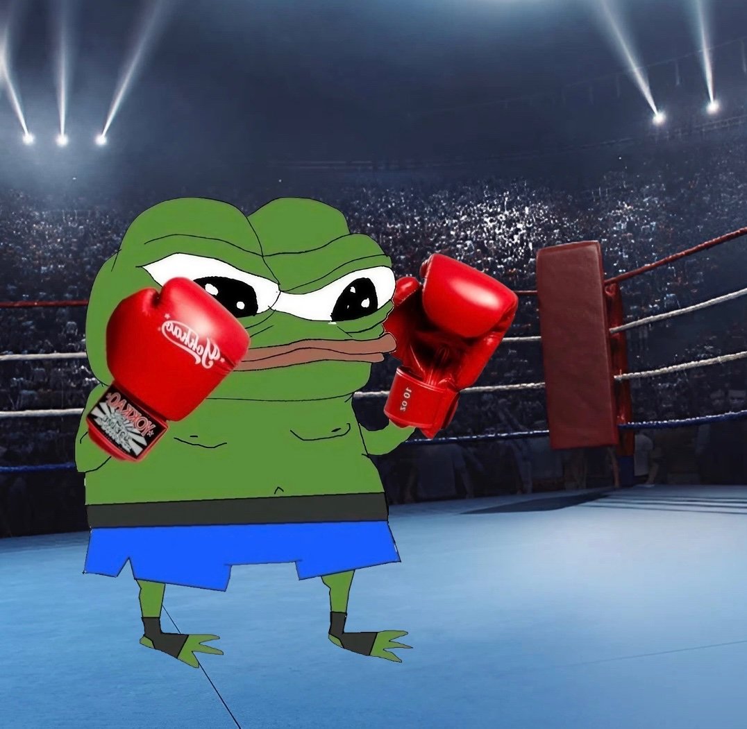 GONNA BE FIGHTING THE BEARS TODAY, $FREN 🐸🐸🐸✅️✅️✅️🚀🚀🚀