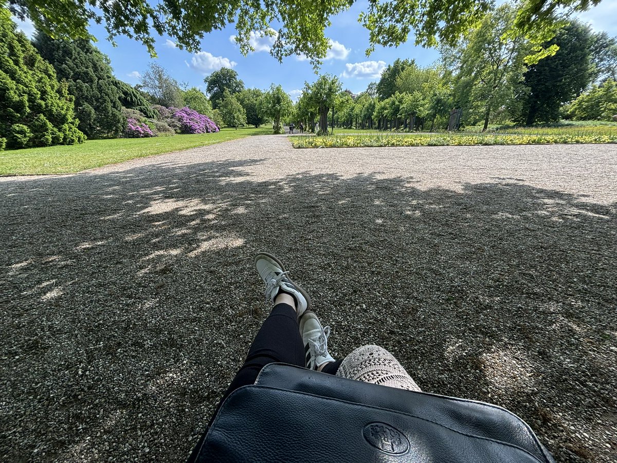 I’ve been on a trip all day today & I went to 3 different cities (morning: Goslar, noon: Hildesheim, afternoon: Hannover)! ☀️

I took a bunch of pictures that can be used for VN backgrounds, so exciting!! 👀

But now my feet are burning 🥹
(I’m currently at 27k steps - counting)