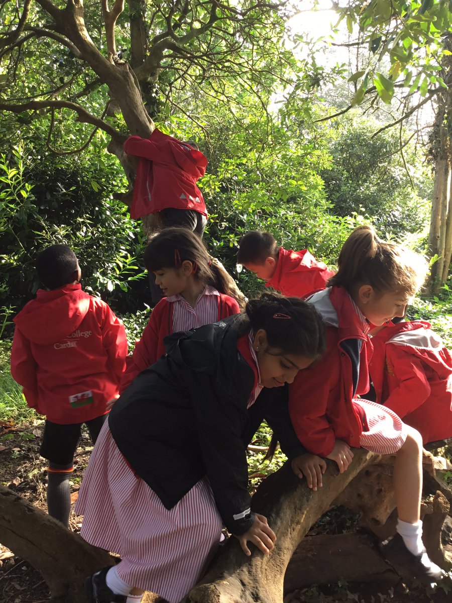 SJC_Infants's tweet photo. #SJCR6 had lots of fun in their outdoor learning lesson looking for items for our class nature area. Sophia found a big stick and decided that it would be good for measuring the height of all the children in the class! #SJCMathematics #SJCInfants https://t.co/plqjrmdEKn