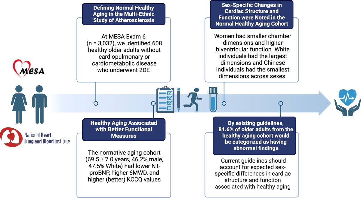 New pub by @MMukherjeeMD @DocStrom @docbfreed et al finds significant differences in cardiac structure & function by sex and race/ethnicity in healthy older adults and provides normative data in aging adults. @CircImaging @BidmcCvi ahajournals.org/doi/10.1161/CI…