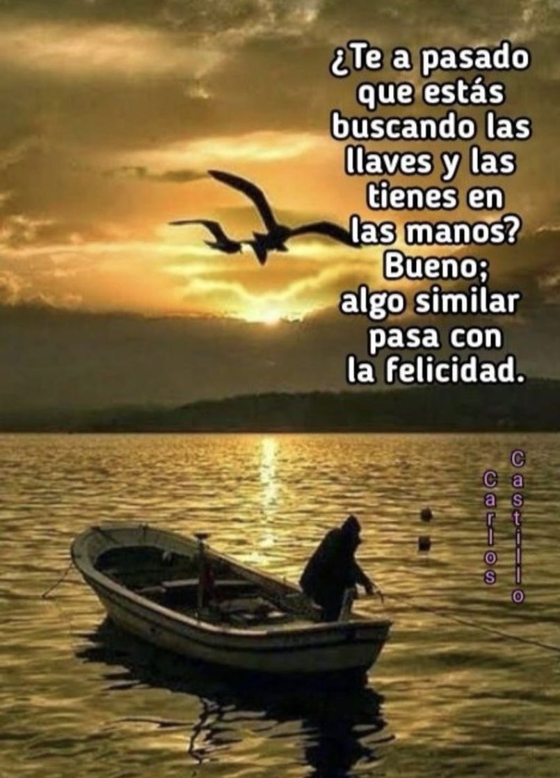 Roberto Castañeda T tweet media