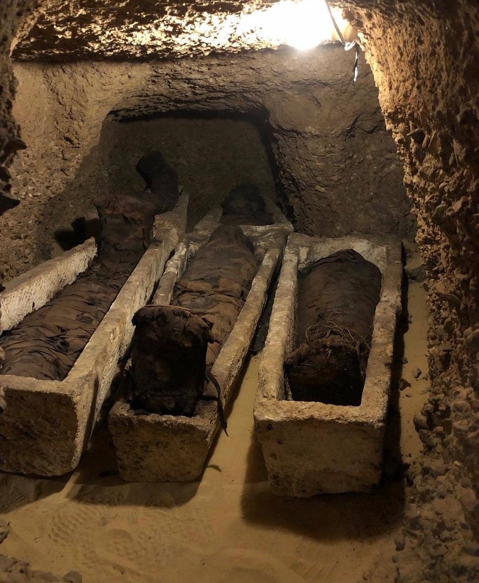 Discovery of more than 40 mummies in a grave in Tuna El-Gebel Necropolis, Minya, Egypt (2019) 🇪🇬

#ancientegypt