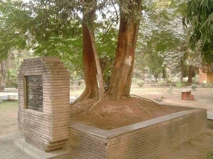 प्रयागराज में स्थित वह पेड़, जिसकी छांव में महान क्रांतिकारी चंद्रशेखर आज़ाद ने अंतिम श्वास ली