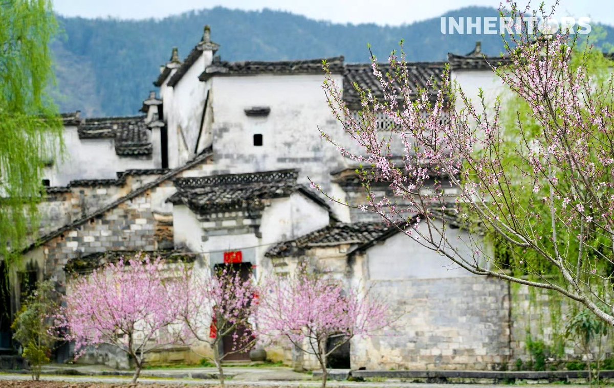 徽州坐落于青山绿水之间，建筑与自然的融合再现了中国水墨画中的意境，使人仿佛穿越回典雅宁静的古代。 #徽派民居 #黄山Huizhou traditional architecture