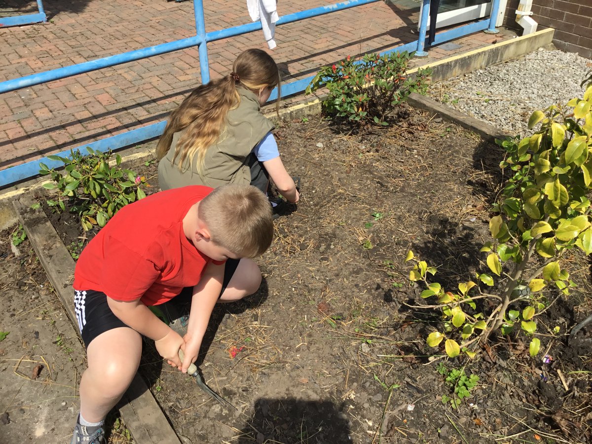 In Gardening Club today, we have been clearing an abundance of weeds and dead leaves to make the flowerbed at the front of school look more presentable. Hopefully, we will be planting some seeds and more plants over the next two weeks! #teamworkmakesthedreamwork