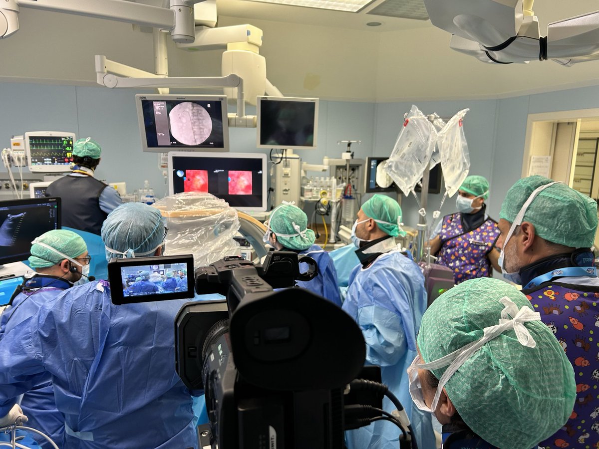 Live endourology surgery at IEA 24 congress in Verona Brilliant ECIRS performed by @LuiBevilacqua and @tondelli_elena with @GoumasUrologia A great opportunity to learn from these experts Super IEA 24 program and organization @aleantonellibs1 @AleVeccia88