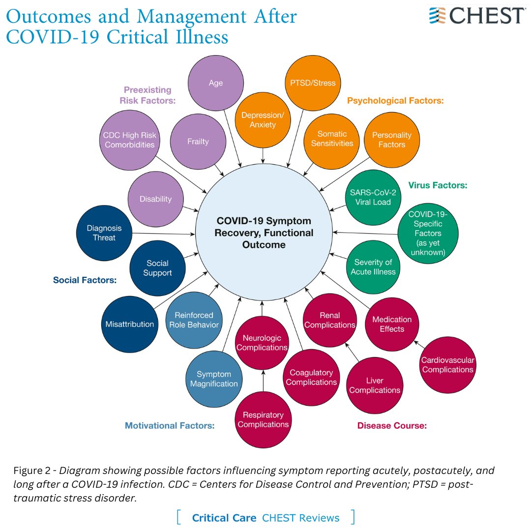 A #CHESTReview in the May issue describes the current understanding and approach to survivors of #COVID19 critical illness with persistent symptoms and dysfunction. Read more in the latest @journal_CHEST issue: hubs.la/Q02wBWg_0 #JournalCHEST #MedEd