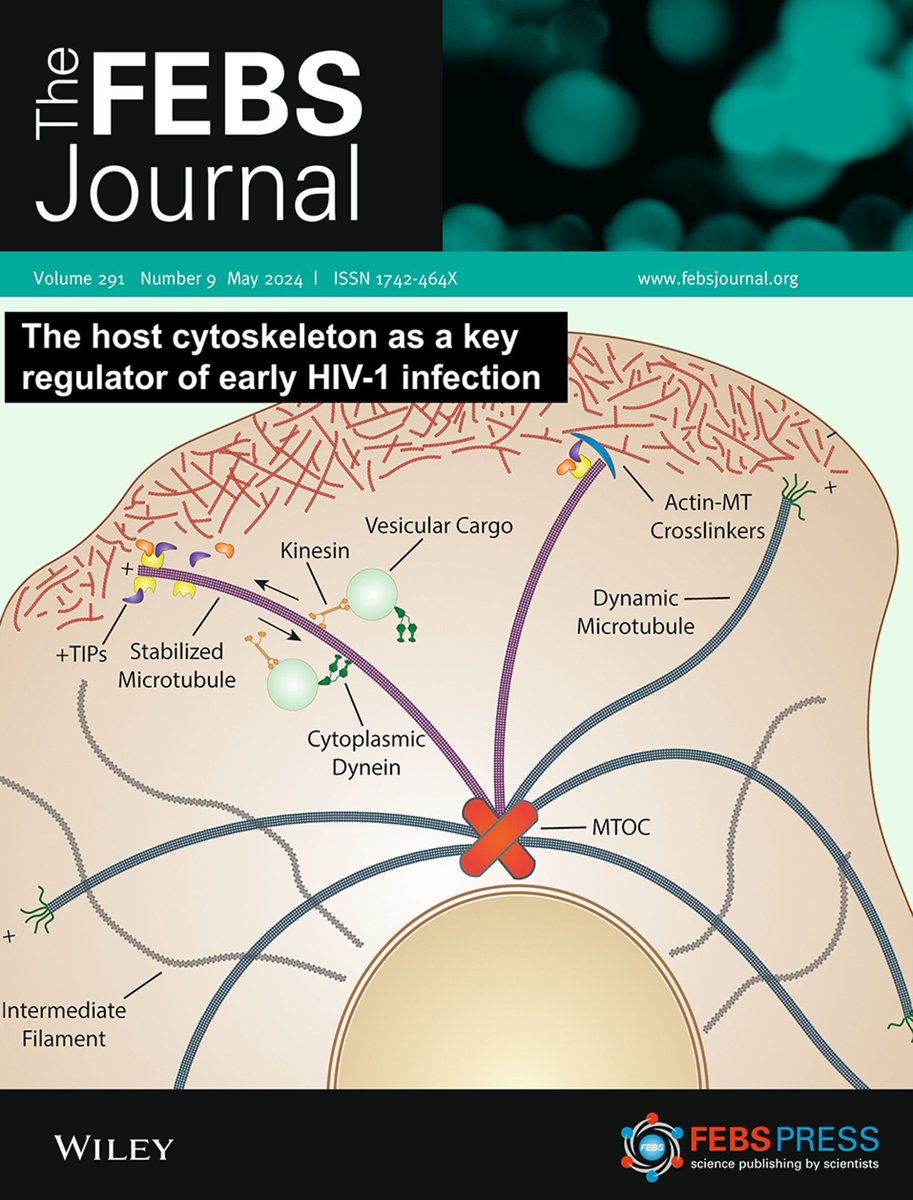 🏅 Issue 9 is out now!🏅 👏 A stunning State-of-the-art review on the host cytoskeleton role in early #HIV infection 🧪 Explore the connection between alpha-synuclein and histone #PTMs in our Editor's choice 🔗 buff.ly/3UvvxLD Check it out now! 🚀 #ScienceTwitter